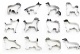 12pcs dog cookie cutter set